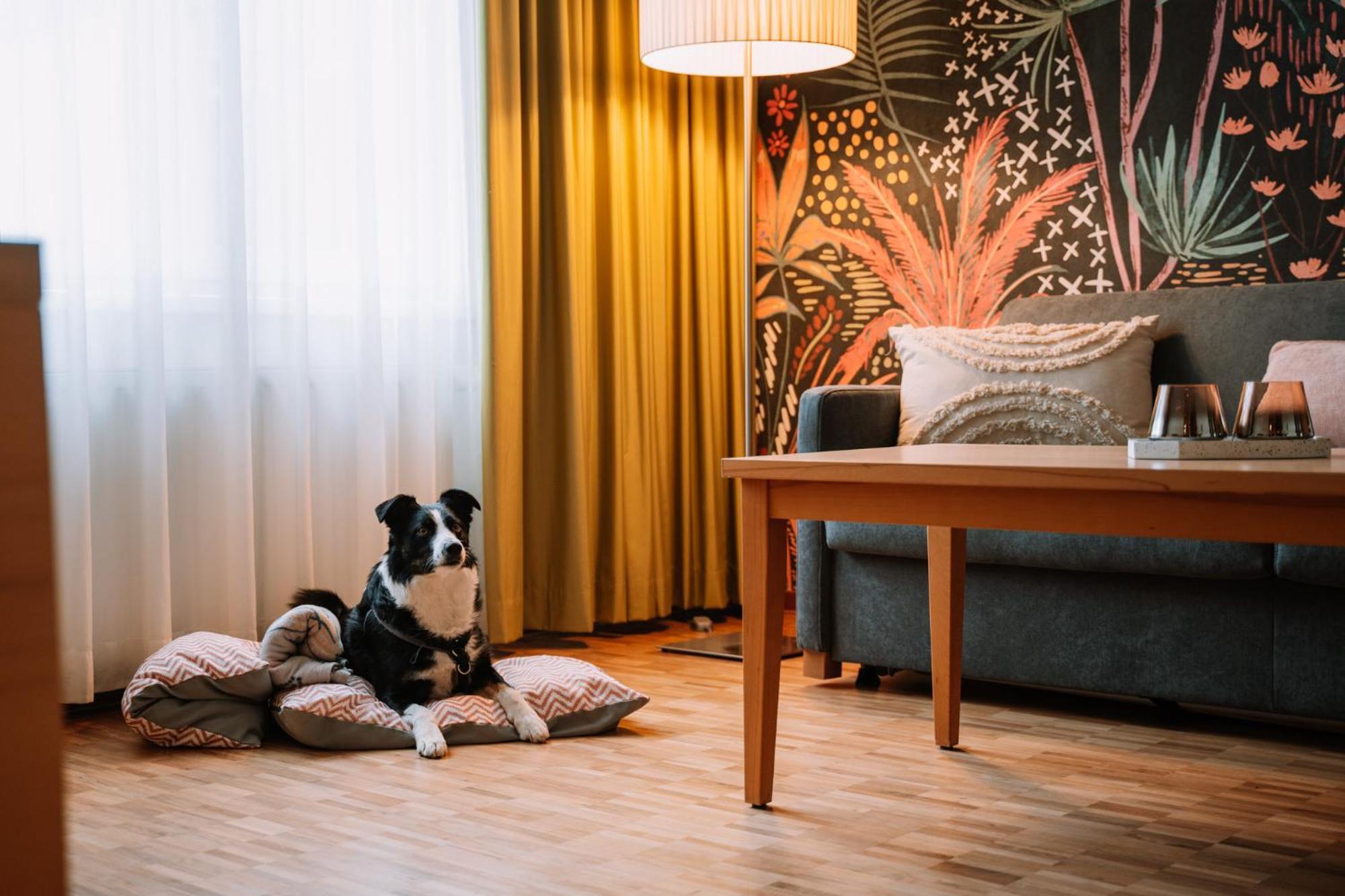 Hotel Auszeit St Lambrecht Санкт Ламбрехт Екстериор снимка